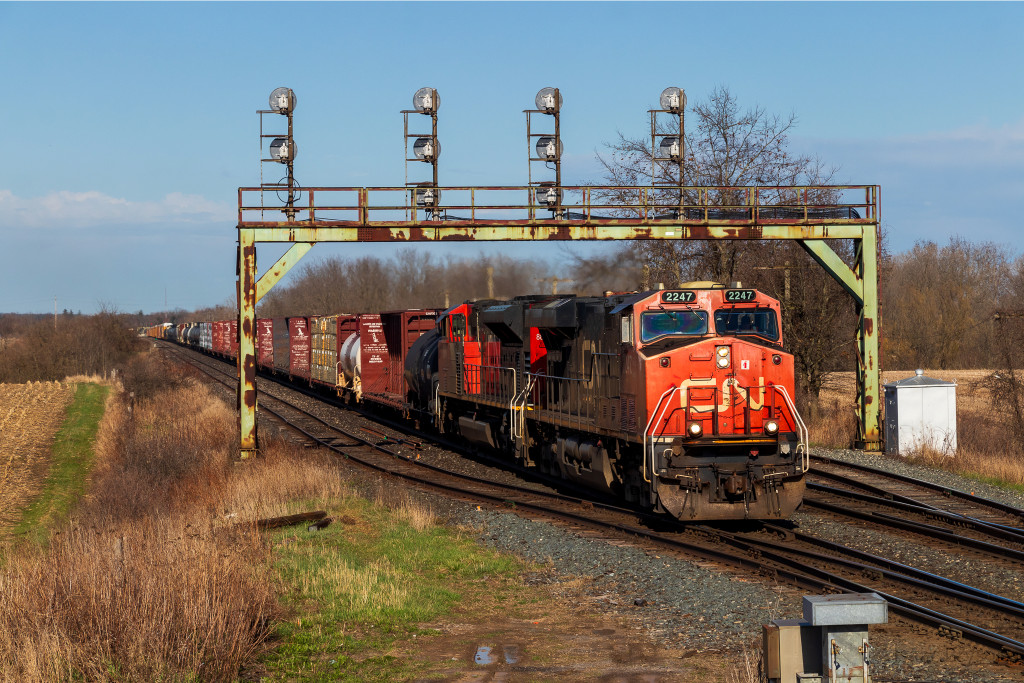 CN 2247